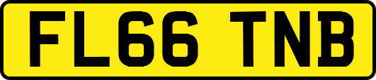 FL66TNB