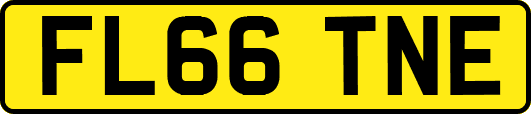 FL66TNE