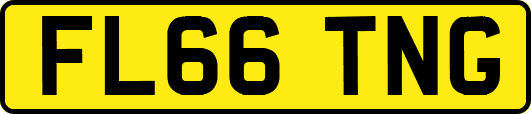 FL66TNG