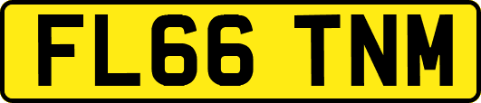 FL66TNM