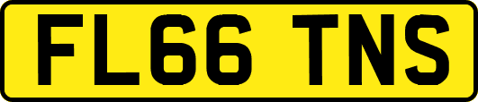 FL66TNS