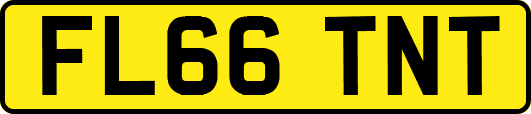 FL66TNT