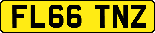 FL66TNZ