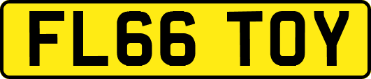 FL66TOY