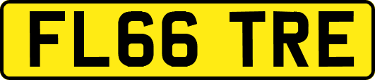 FL66TRE