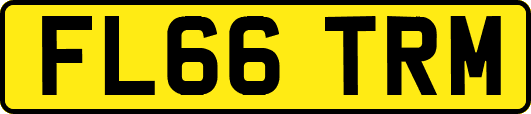 FL66TRM