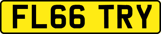 FL66TRY