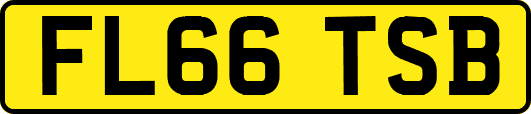 FL66TSB