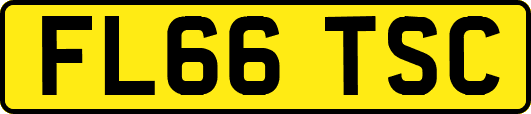 FL66TSC