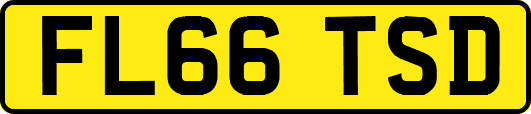 FL66TSD