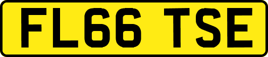 FL66TSE