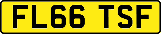 FL66TSF