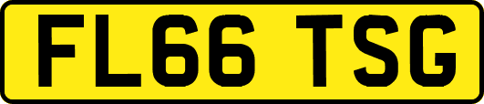 FL66TSG