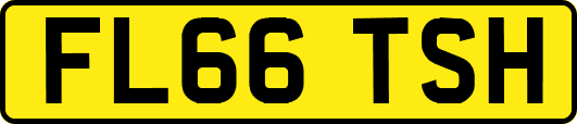 FL66TSH