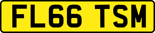 FL66TSM