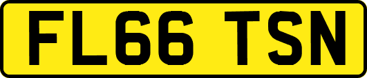 FL66TSN