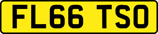 FL66TSO
