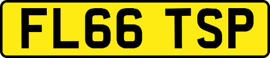 FL66TSP