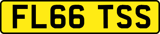 FL66TSS