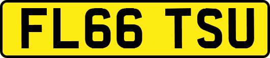 FL66TSU