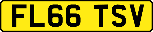 FL66TSV