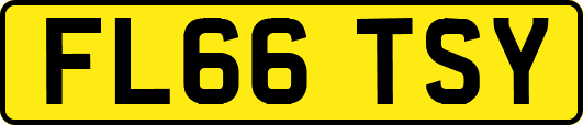 FL66TSY