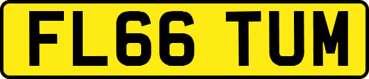 FL66TUM