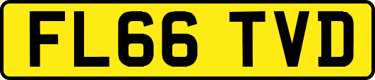 FL66TVD