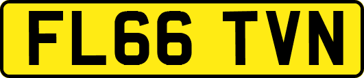FL66TVN