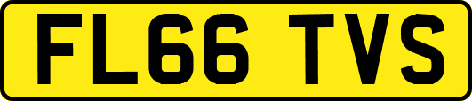 FL66TVS