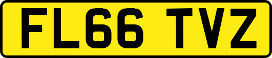 FL66TVZ