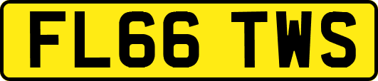 FL66TWS