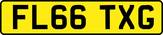 FL66TXG
