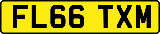 FL66TXM