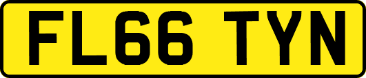 FL66TYN
