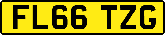 FL66TZG