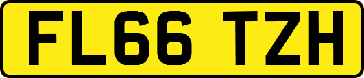 FL66TZH