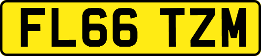 FL66TZM