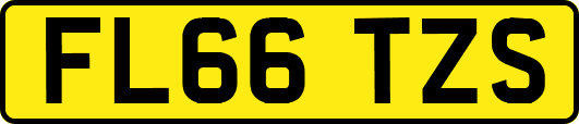 FL66TZS