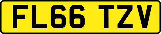 FL66TZV