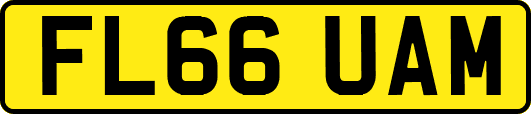 FL66UAM