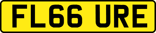 FL66URE