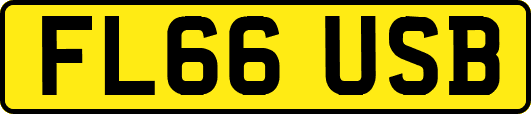 FL66USB