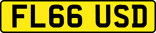 FL66USD