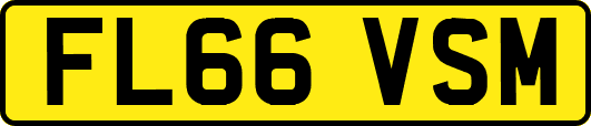 FL66VSM