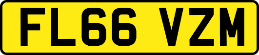 FL66VZM