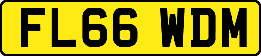FL66WDM