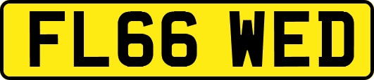 FL66WED