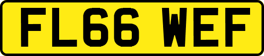 FL66WEF