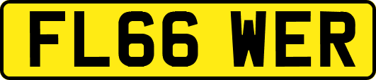 FL66WER